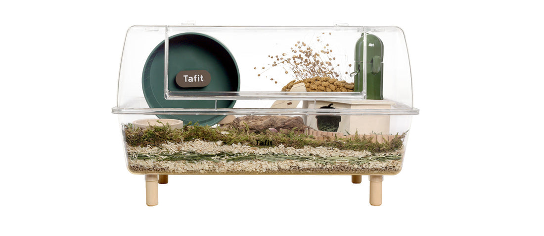 Hamster Cage Setup Made Easy: Essentials for a Happy Pet