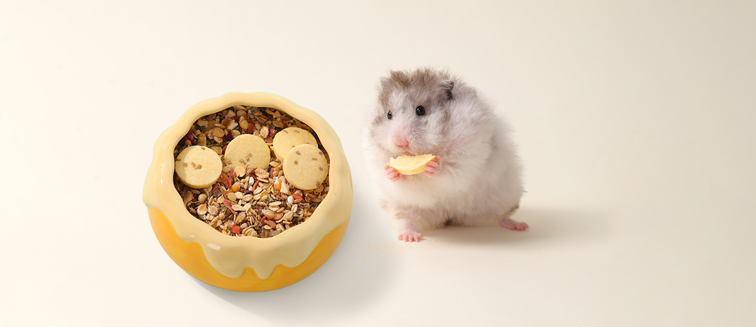 What Should Hamsters Eat? A Beginner’s Guide to Balanced Nutrition