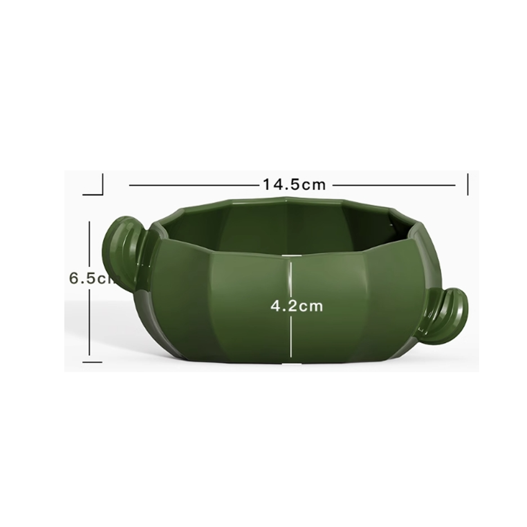 Tafit Ceramic Cactus-shaped Bwol & Water Bottle