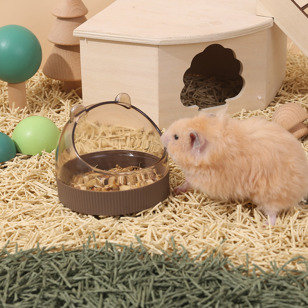 Hamster feeding bowl best sale