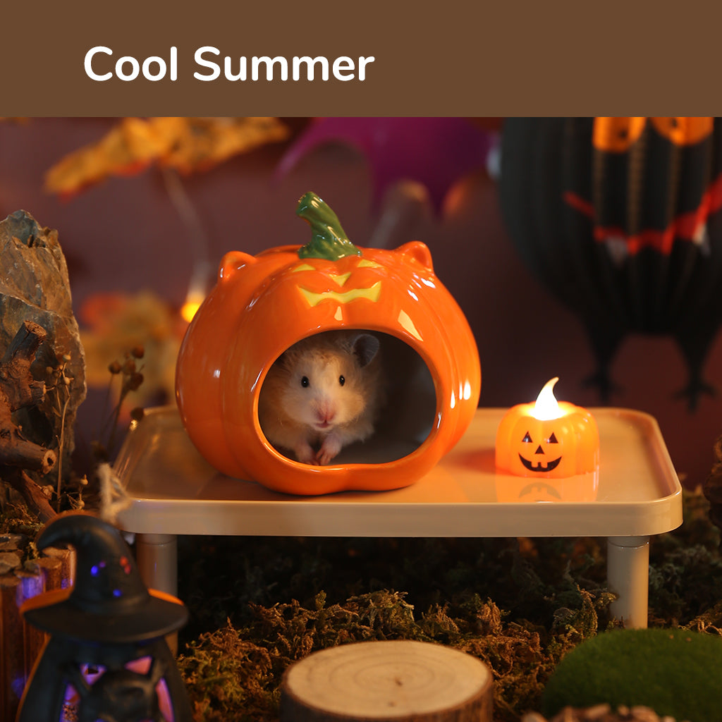 Tafit Ceramic Pumpkin Hamster Hideout