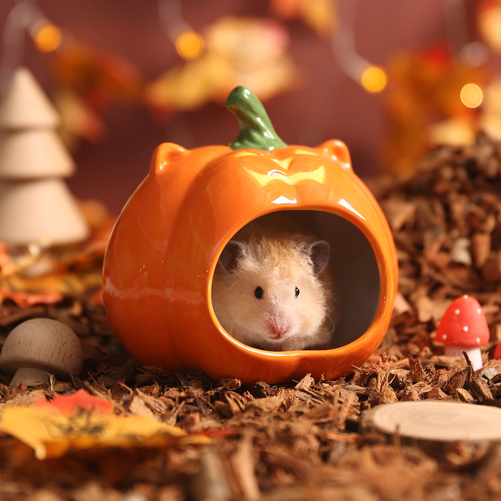 Tafit Ceramic Pumpkin Hamster Hideout