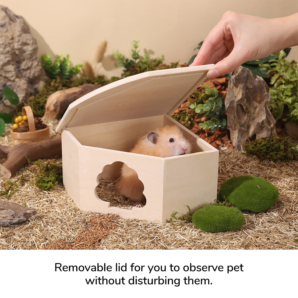 Tafit Single Chamber Hamster Hideout