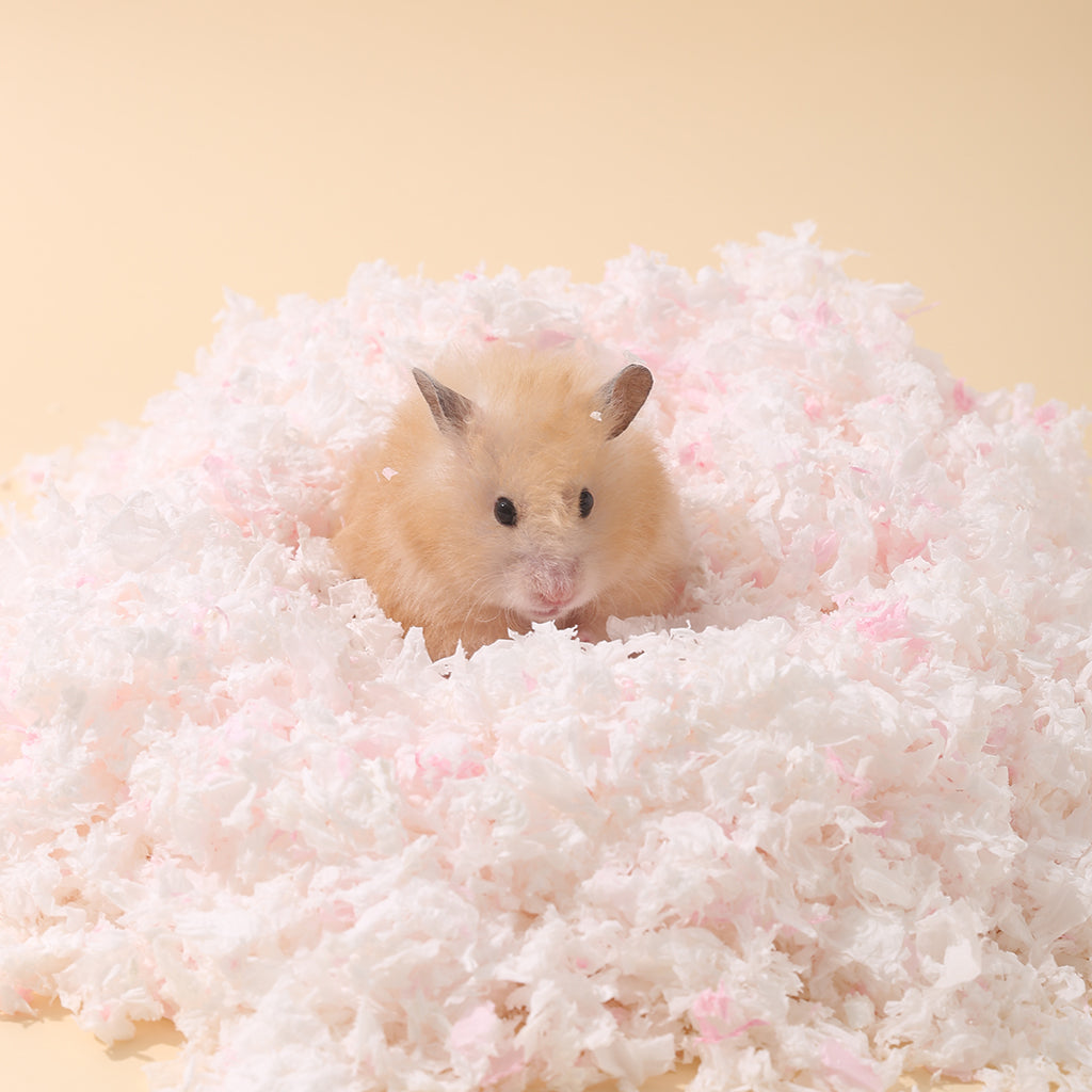 Hamster bedding best sale