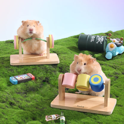 Tafit Punk Hamster Toys