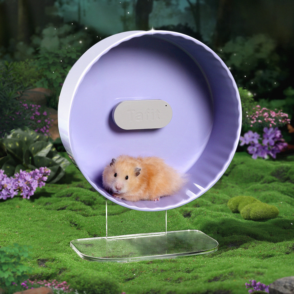 Tafit Crystal Silent Hamster Wheel